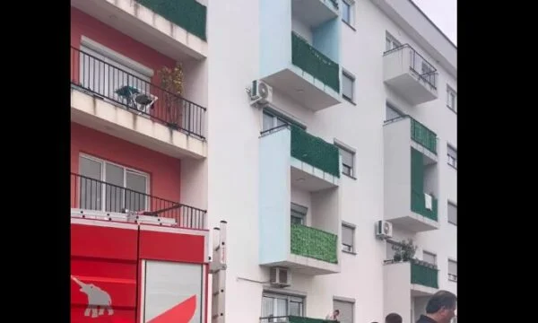 Tragjedia në Malishevë, të premten ditë zie dhe pezullohet mësimi në shkollën ku dy fëmijët ishin nxënës