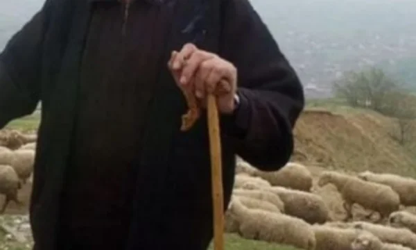 Zhduket prej 3 ditësh bariu në Tepelenë