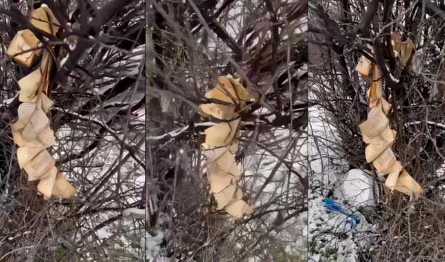 Digjet Kurani në Gjakovë (VIDEO)
