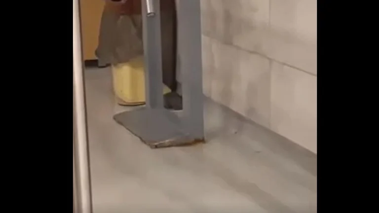 Miu “shëtitet” nëpër Mensë të Studentëve