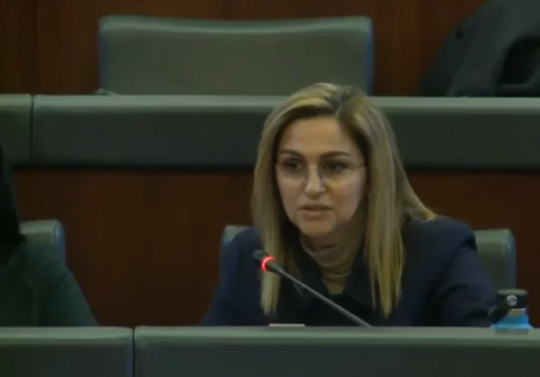 U përmend si kandidate për kryetare të parlamentit, reagon Shqipe Selimi: Ne e kemi propozuar, juve ju mbetet me votu