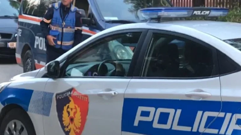 Babai plagos vajzën në Lushnjë, më pas vret vetën