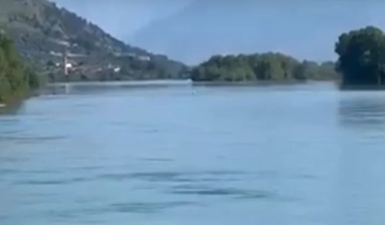 Detaje nga tragjedia Shkodër: Policia i ka pamjet ku dy kunatat kanë pirë kafe me tre fëmijët, para se të mbyteshin në lumin Buna