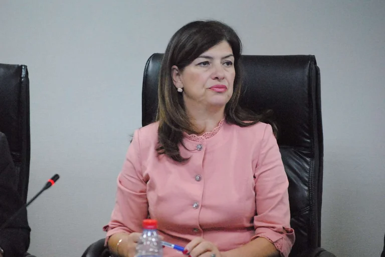 Daka për votat nga diaspora: Edhe më herët i kemi verifikuar aplikuesit