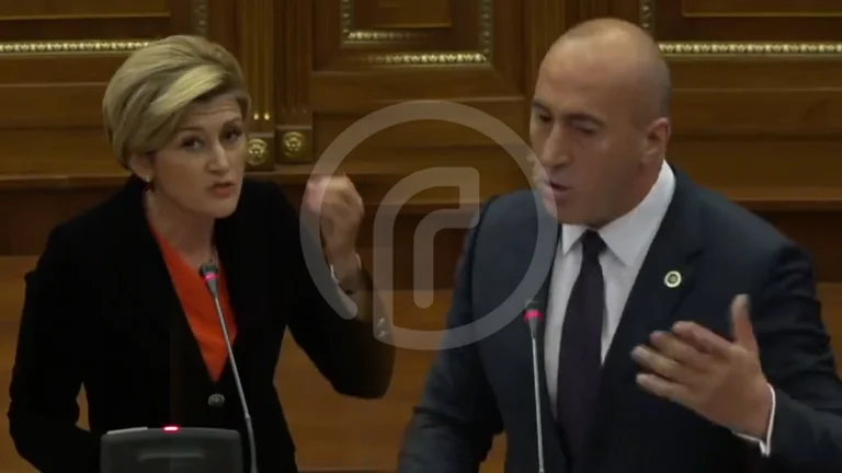 “Ramush unë s’ia futa, ia fute ti”: Rrëshqet pak në gjuhë Mimoza Kusari
