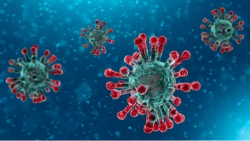 Rritet numri i rasteve me Ebola në Kongo, shkon në mbi 1 mijë numri i të prekurve