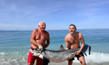 “Peshkaqeni dhelpër”, kapet në Borsh tërheq vëmendjen e turistëve