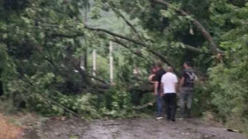 Moti i ligë shkakton dëme në Gjakovë, rrëzohen drunj dhe dëmtohen shtylla elektrike në Gërgoc e Cërmjan