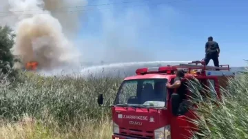 Shqipëria nuk gjen rehati, përhapet me shpejtësi zjarri pranë plazhit të Tales