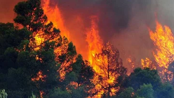 Zjarret në Shqipëri, nga 22 qershori janë regjistruar 160 vatra në gjithë vendin