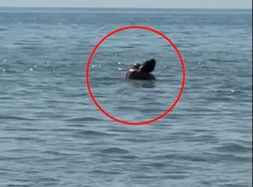 Video (+18): Çifti filmohen duke bërë seks në plazhin e Durrësit