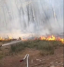Lamallari: Orë të vështira për shkak të vatrave të zjarrit në Vlorë dhe zonat përreth