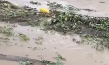 Vërshimet në Rahovec shkaktojnë dëme të mëdha në bujqësi