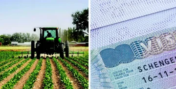 Mashtroi qytetarët për donacione në bujqësi dhe termine me viza, Prokuroria në Pejë i ngrit aktakuzë të pandehures