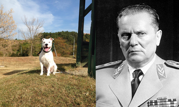 Qytetari nga Prishtina ia la emrin e Tito-s qenit