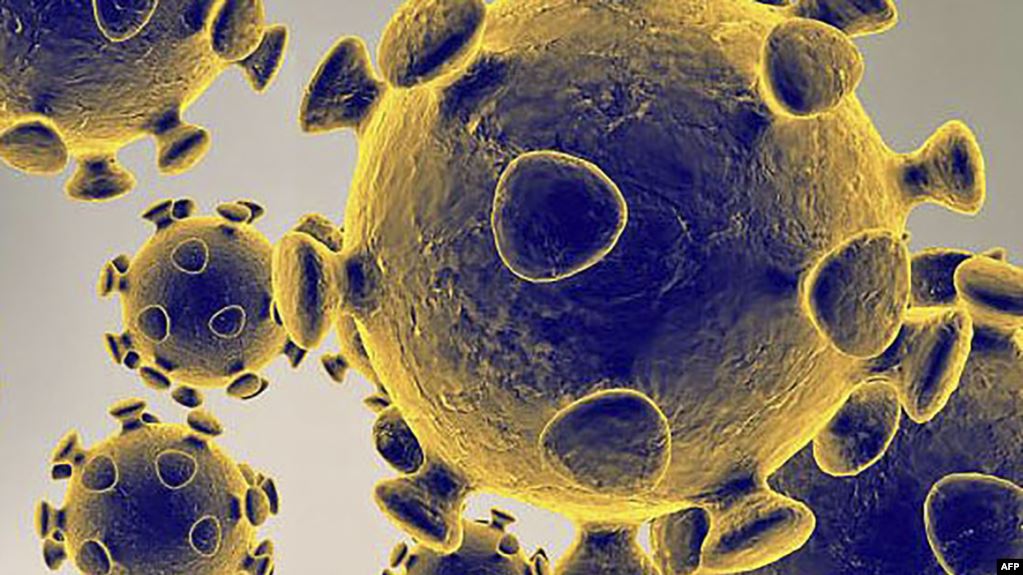Koronavirusi i shndërron qelizat e pacientit në “fabrika të viruseve”