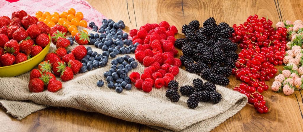 Ushqimet që ngadalësojnë plakjen