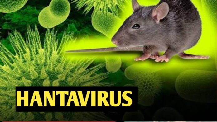 U raportua se në Kinë është perhapur një virus i ri, por çfarë është hantavirusi dhe a duhet të kemi frikë