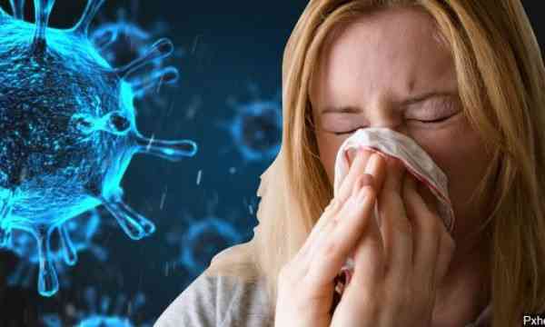 A mundet që gripi i rëndë që kaluam në nëntor dhe dhjetor, të ketë qenë koronavirusi