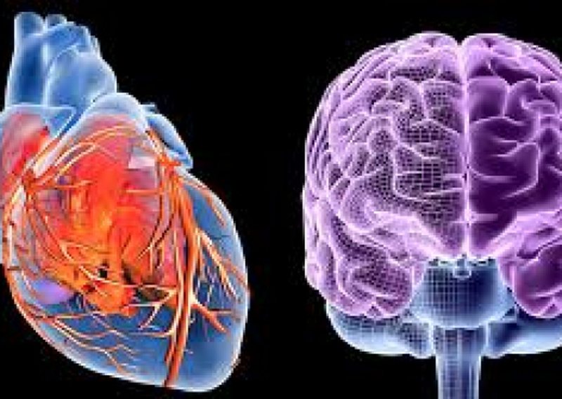 Shëndet të mirë të turit dhe zemrës, sekreti qëndron në shtëpinë tuaj