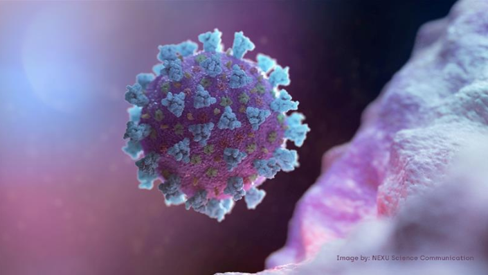 Studim: Dimri do ta shtojë përhapjen e koronavirusit