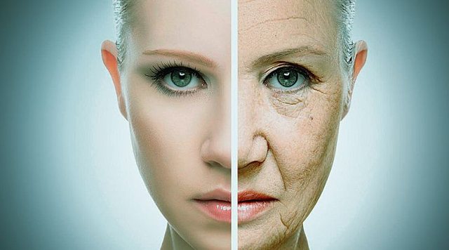 Si t’i parandaloni 4 llojet e plakjes? Flasin shkencëtarët