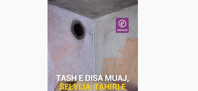 Familja Mehmeti jeton në bodrum, rrezikohen nga minjtë e gjarpërinjtë