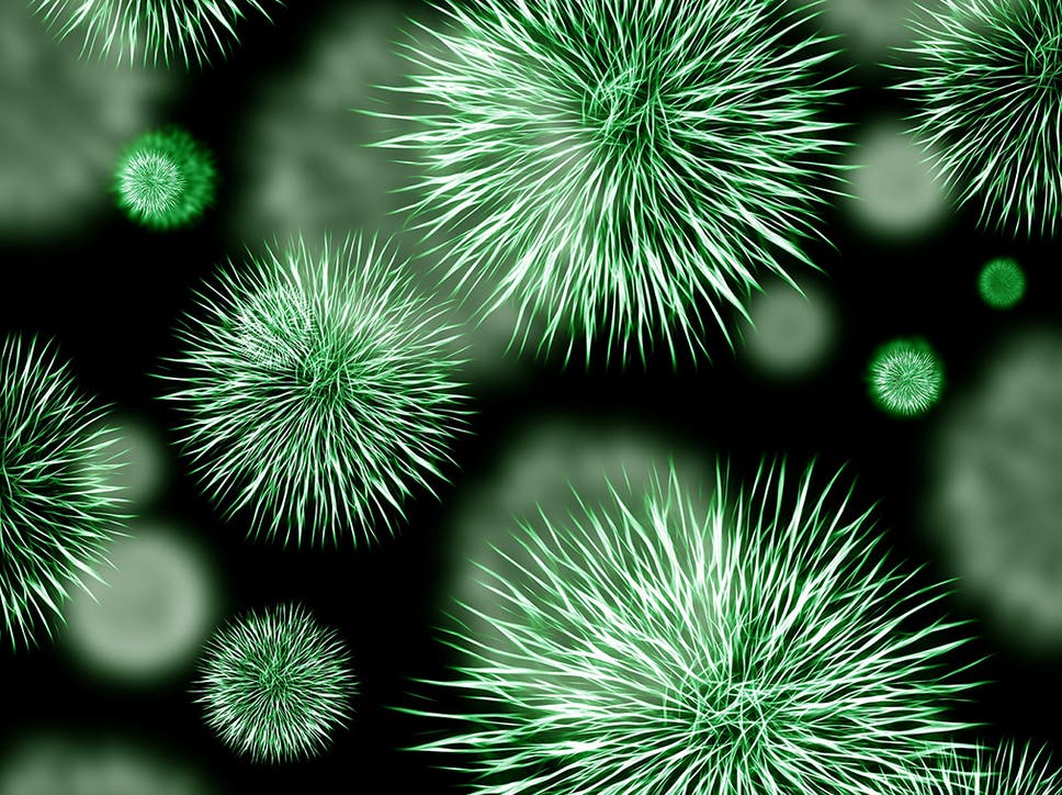 Mikrobet nga hapësira mund ta shkatërrojnë sistemin imunitar të njerëzimit – alarmojnë shkencëtarët