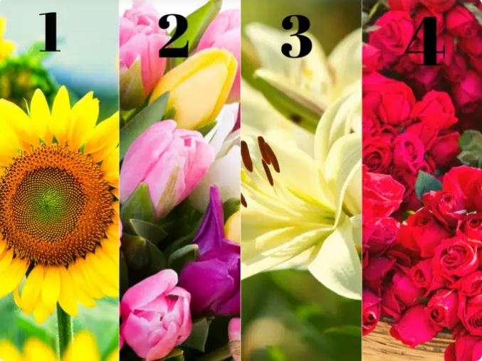 Zgjidh lulen që të tërheq dhe zbulo karakterin tënd