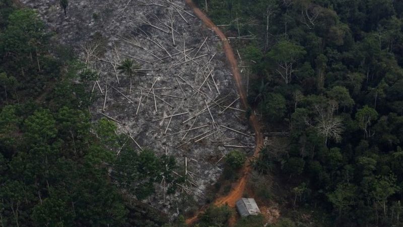 Shpyllëzimi i Amazonës në Brazil arrin nivelin më të lartë në 12 vjet