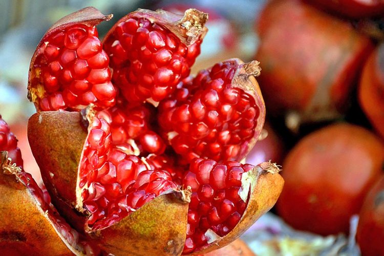 Niseni vitin e ri mbarë me shegë – Fruti plot vlera