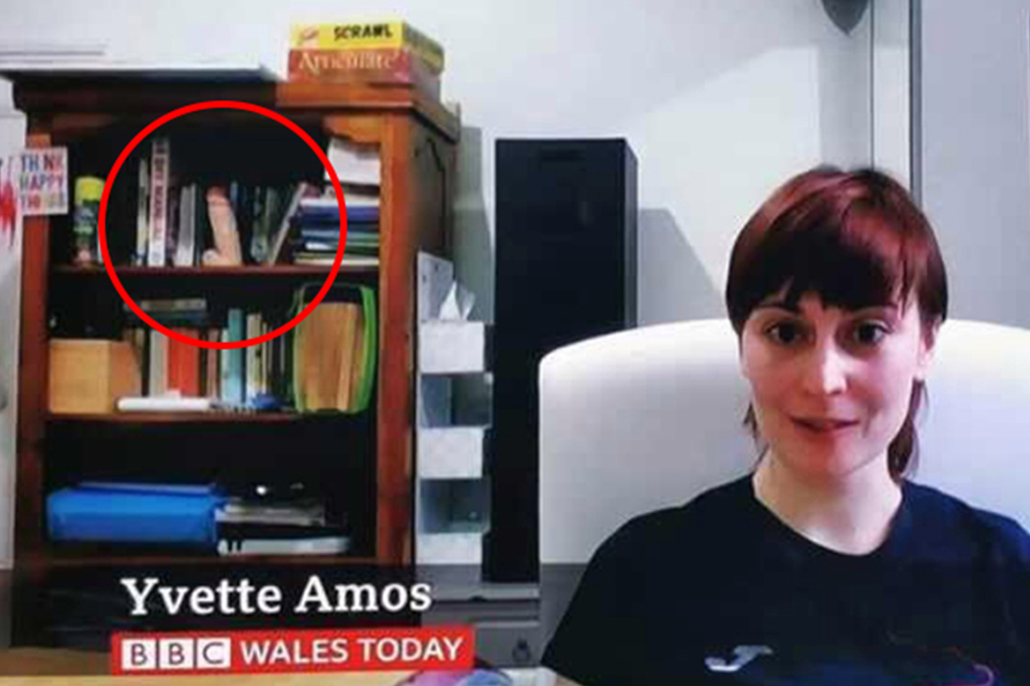E ftuara në BBC merr vëmendjen me penisin plastik në raft të librave (Video)