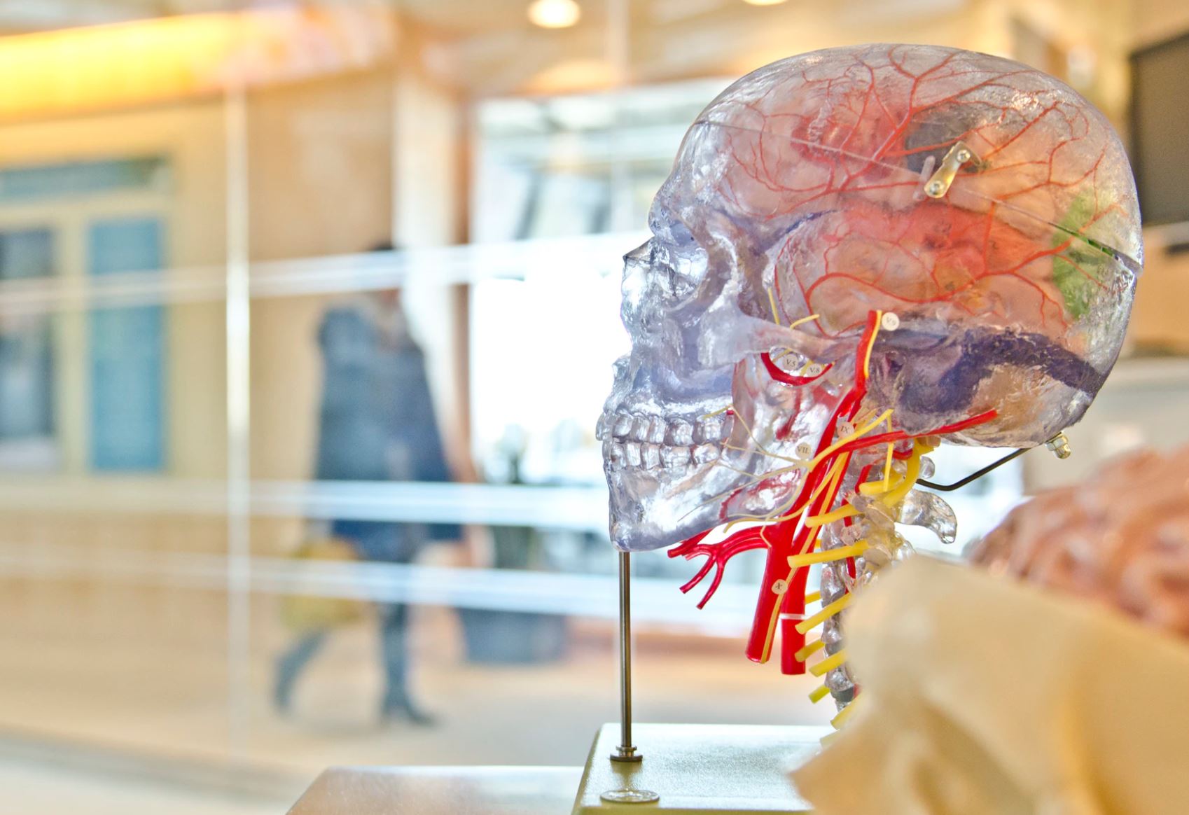 Ndërlidhja mes shëndetit të dhëmbëve dhe sëmundjes së Alzheimerit