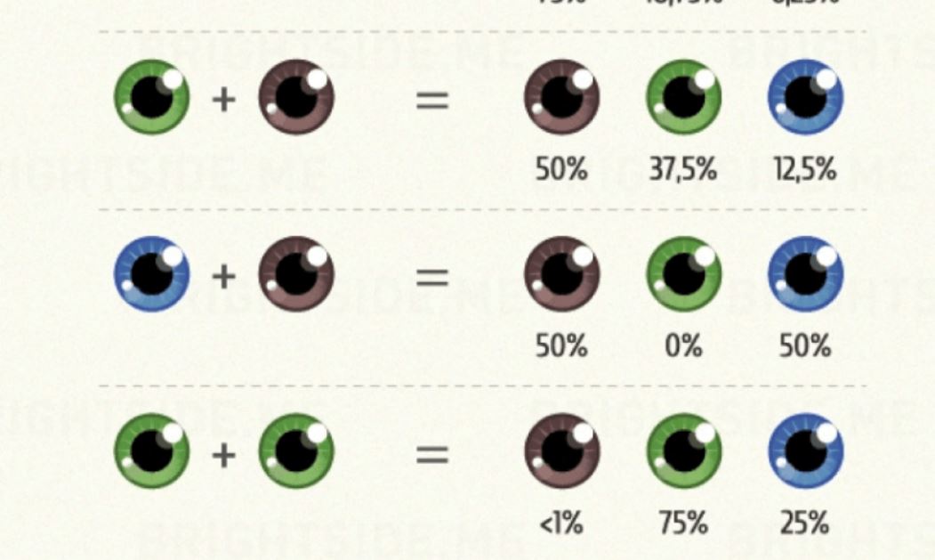 Sipas shkencës, fëmijët tuaj do të kenë këtë ngjyrë të syve