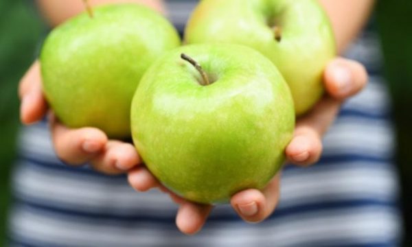Nisni ditën me mollë për të qenë të shëndetshëm