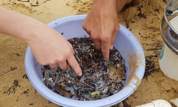 Kolegët e Lul Rakës gjejnë mënyrën për të hequr ndotjen e mikroplastikës me bakterie