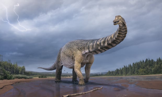 Zbulohet zyrtarisht dinosauri deri në 30 metra i gjatë në Australi