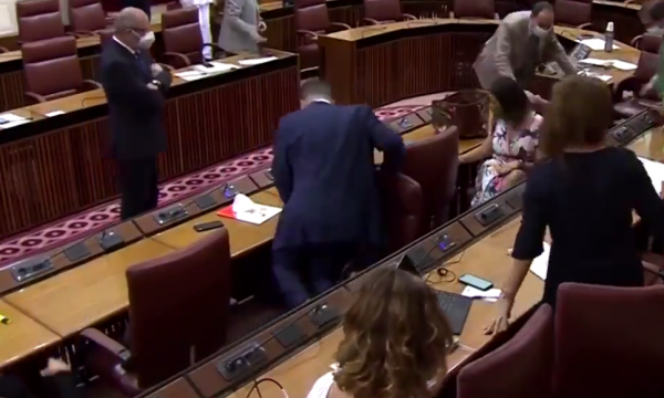 Miu futet në Kuvend: Ofshama, piskama e ikje nga deputetët spanjollë (Video)
