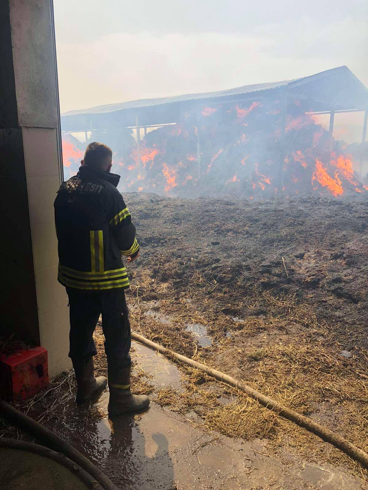 Zjarrfikësit e KEK-ut shuajnë zjarrin në fshatin Plemetin