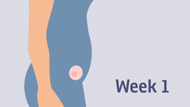 Nga infeksionet tek kequshqyerja; Gjëra që duhen shmangur patjetër 10 javët e para të shtatzënisë