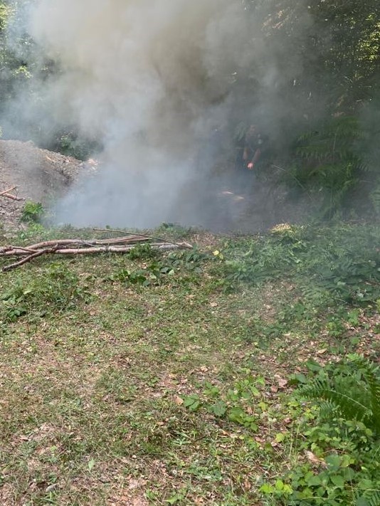 Policia shkatërron dy parcela me bimë narkotike kanabis sativa në zonën e Kosharës