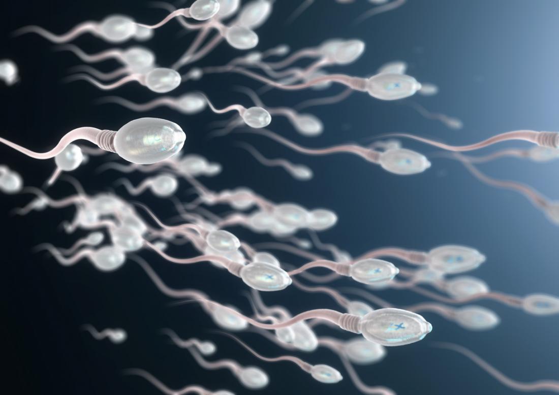 Më në fund: Zbulohet sperma më e vjetër në botë