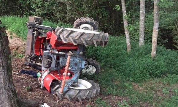 Vdes kosovari pasi i rrokulliset traktori gjatë vozitjes
