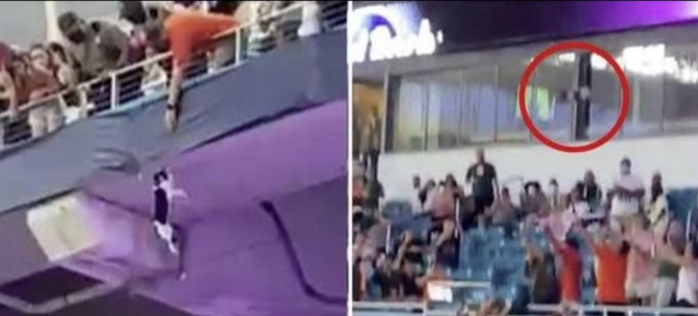 Momenti tmerrues kur macja bie nga stadiumi por mbijeton pasi pritet nga fansat