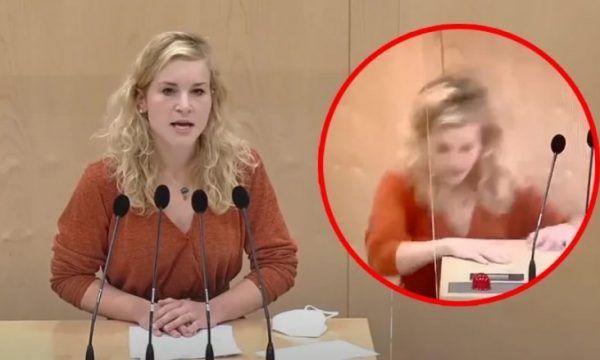 Deputetes austriake i bie të fikët në sallën e parlamentit, del video