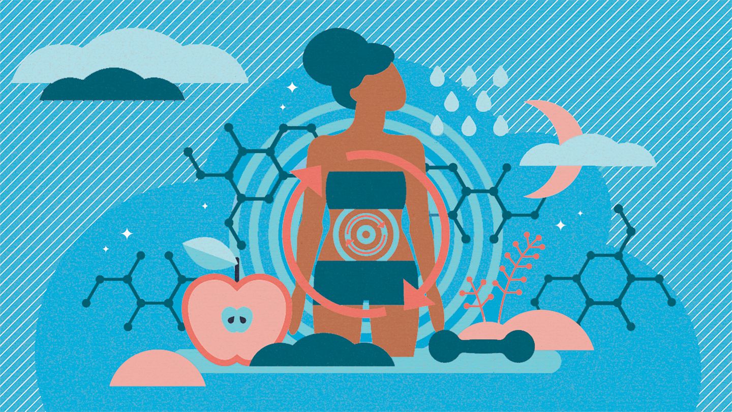 Studimi: Nuk është mosha, ja çfarë e ngadalëson metabolizmin tuaj