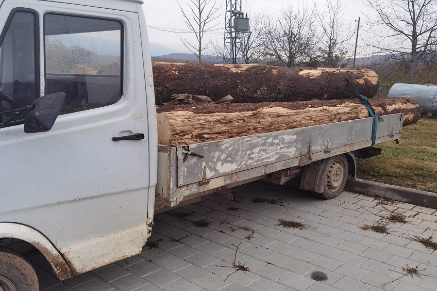 Arrestohen dy persona për prerje ilegale të pyjeve në Bajshe të Istogut