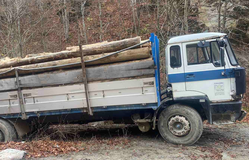 U kapen duke vjedhur drunjë në Deçan, arrestohen dy persona