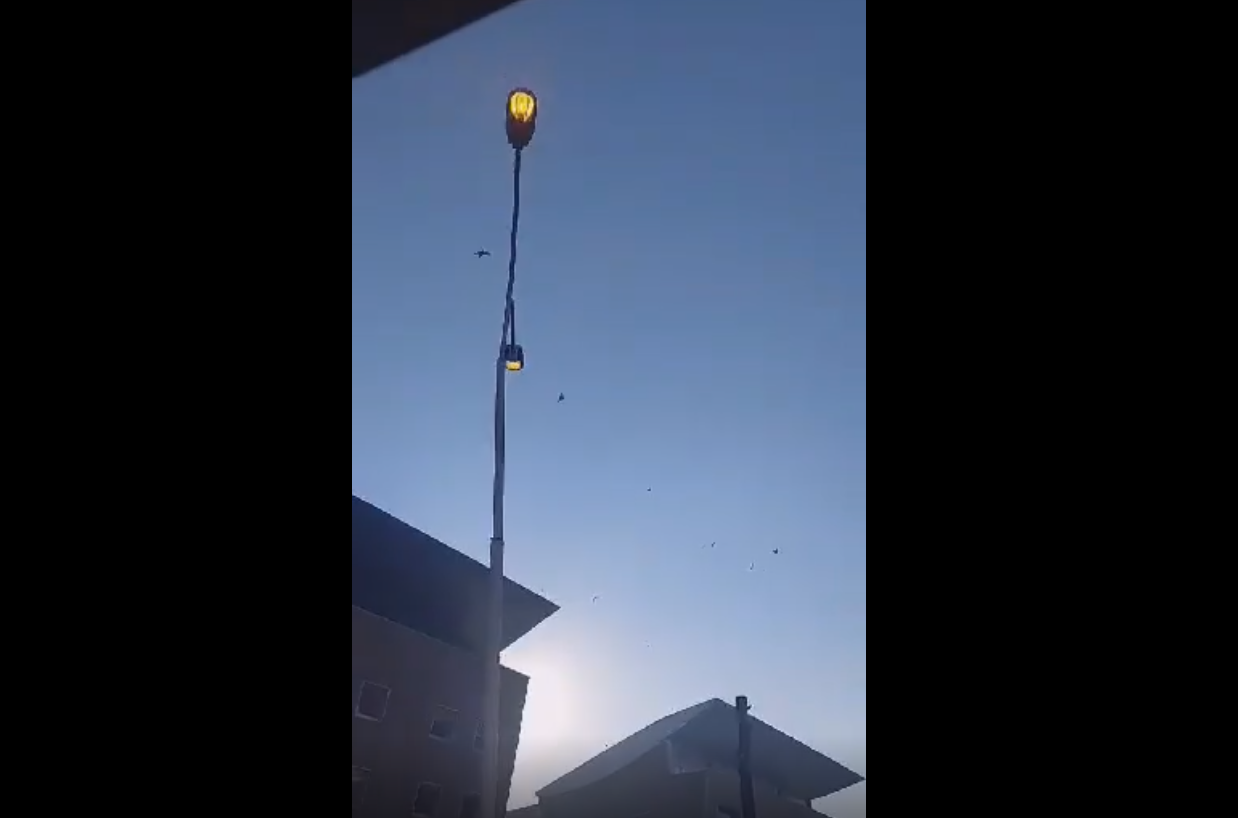 E shëmtuar: Popullit i thanë të kursenin rrymën, e i lënë dritat ndezur jashtë në pikë të ditës (Foto)