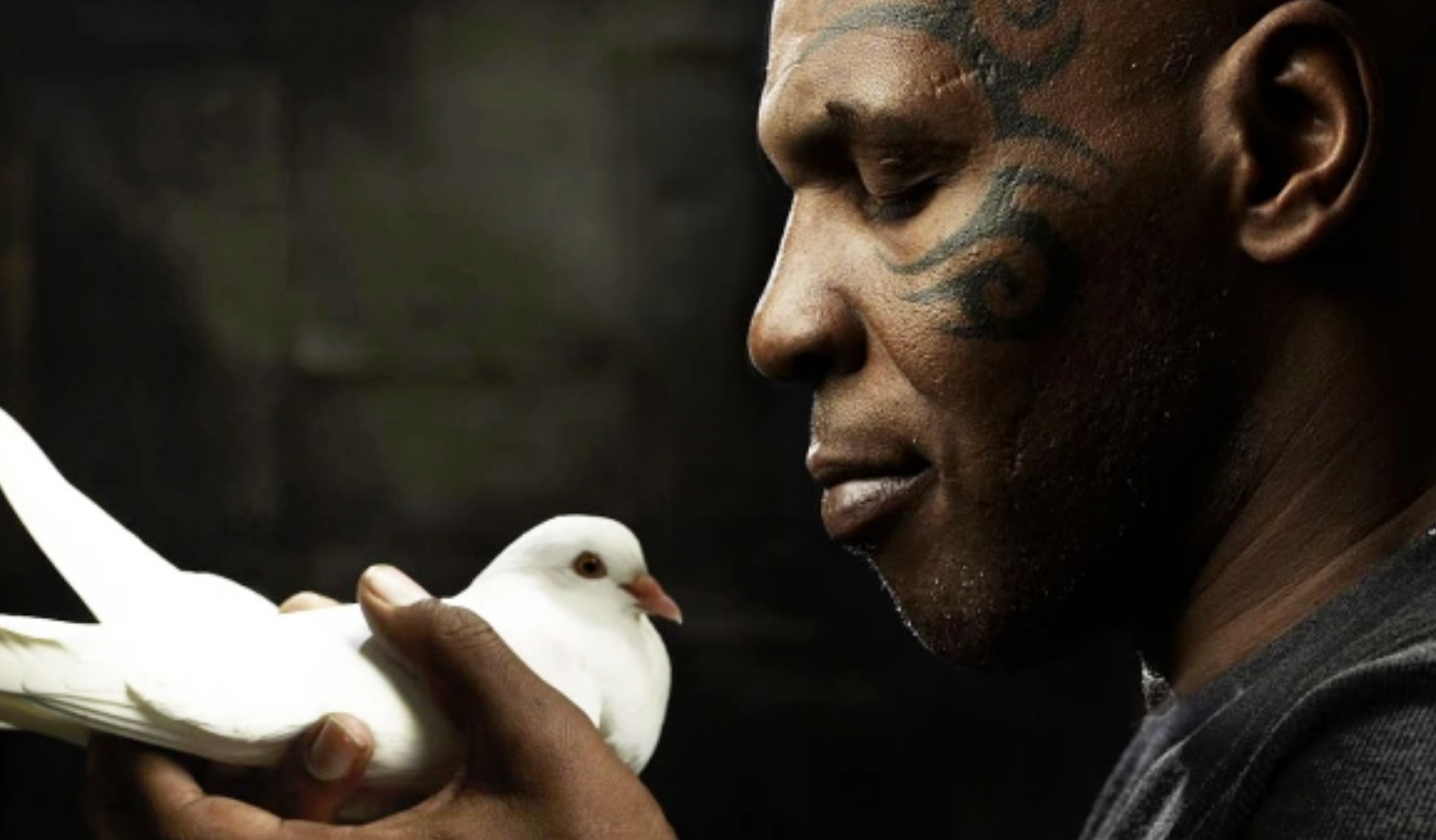 Mike Tyson: U ndava me ish të dashurën pasi ma vrau, ma gatoi dhe ma hëngri zogun